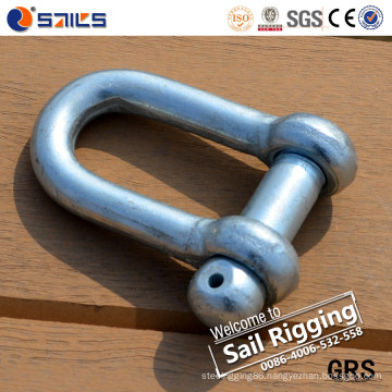 Chinese Manufacture Lifting D Ring Anchor Shackle